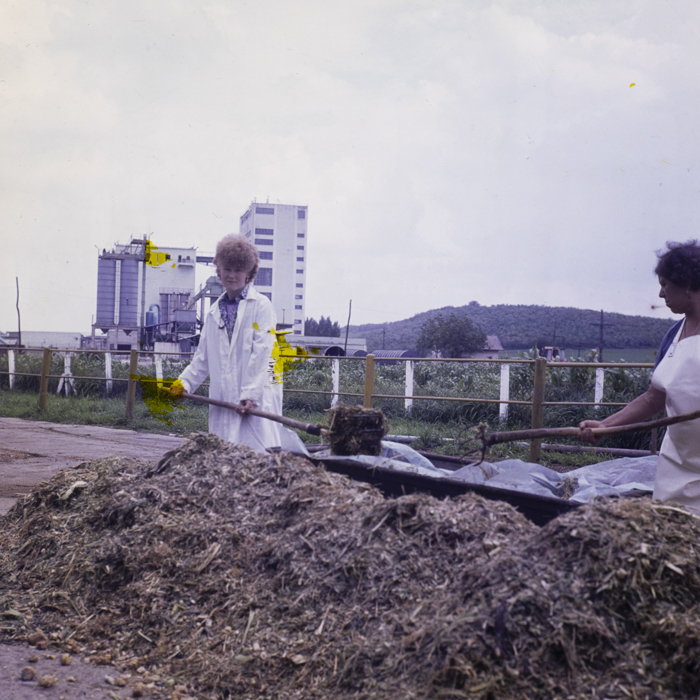 minerva_dn_1983_2680_C.A.P_mihai_viteazul_006