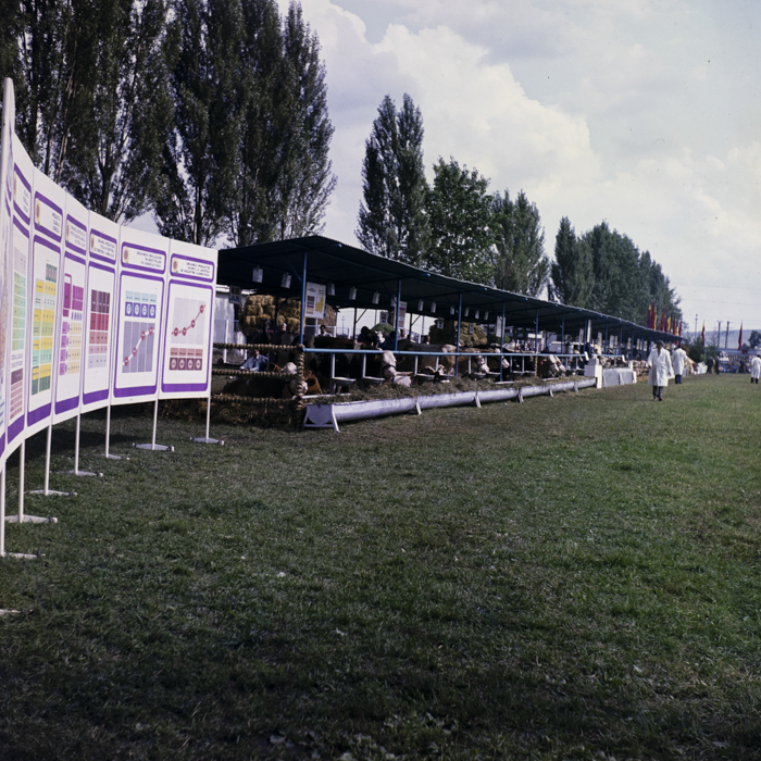 minerva_dn_1983_2680_C.A.P_mihai_viteazul_009