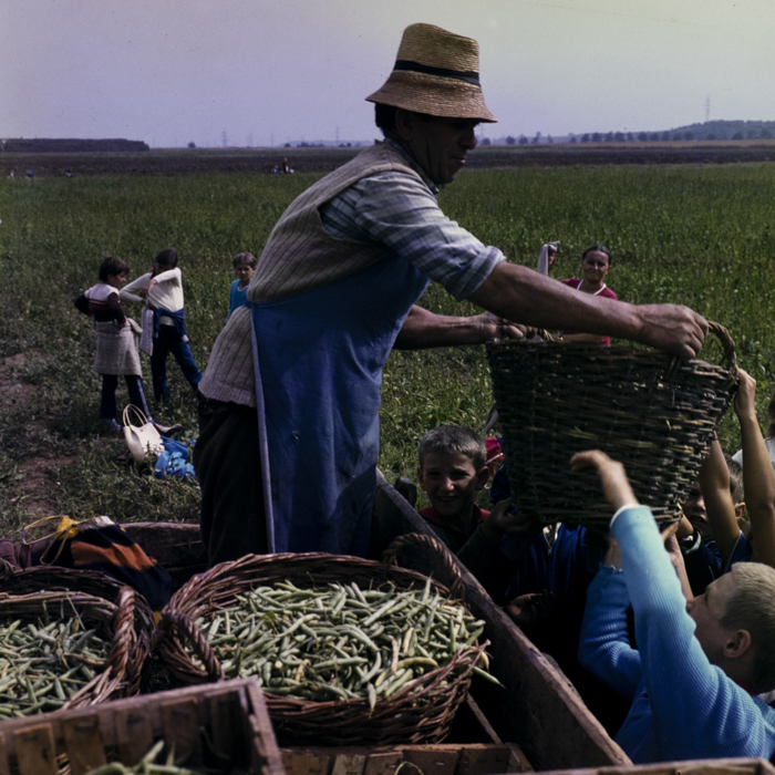 minerva_dn_1983_2680_C.A.P_mihai_viteazul_011