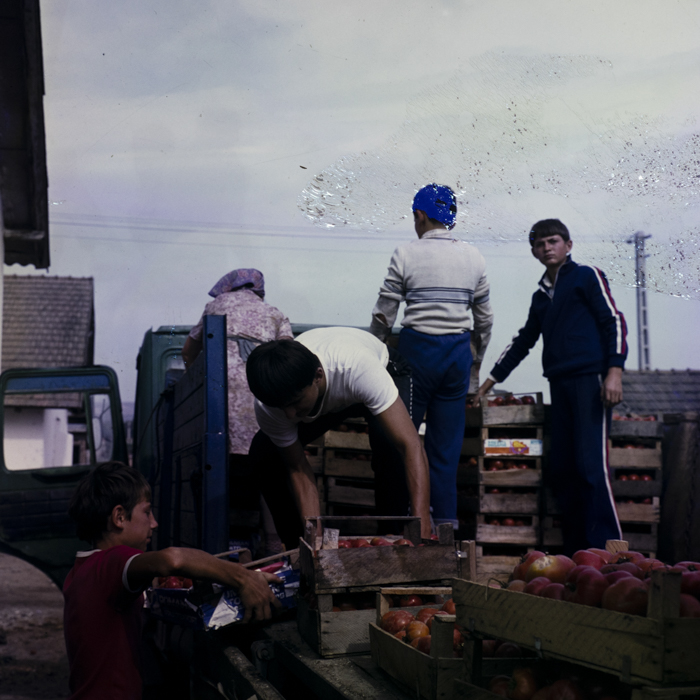 minerva_dn_1983_2680_C.A.P_mihai_viteazul_012