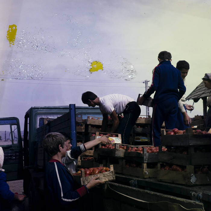 minerva_dn_1983_2680_C.A.P_mihai_viteazul_013