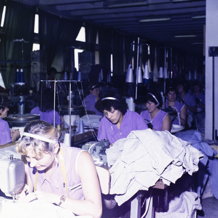 minerva_dn_1983_2683_tricotaje_miercurea_ciuc_001