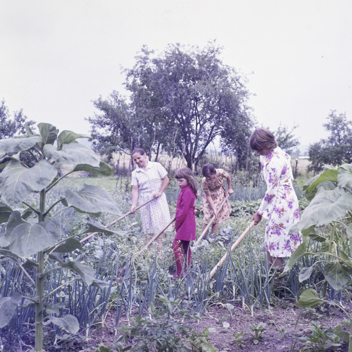 minerva_dn_1983_2688_c.a.p_sanpaul_001