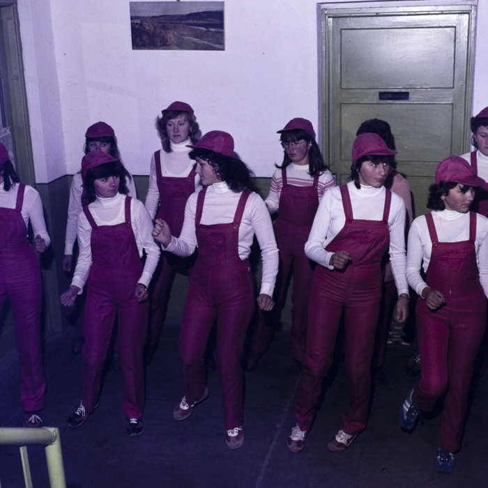 minerva_dn_1983_2690_pecica_001