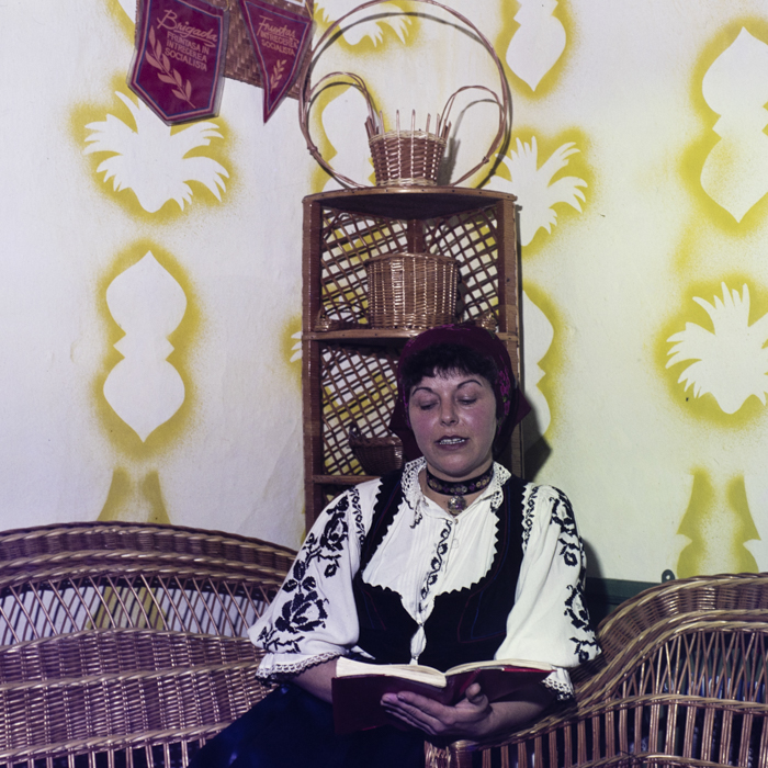 minerva_dn_1983_2691_frumuseni_arad_001