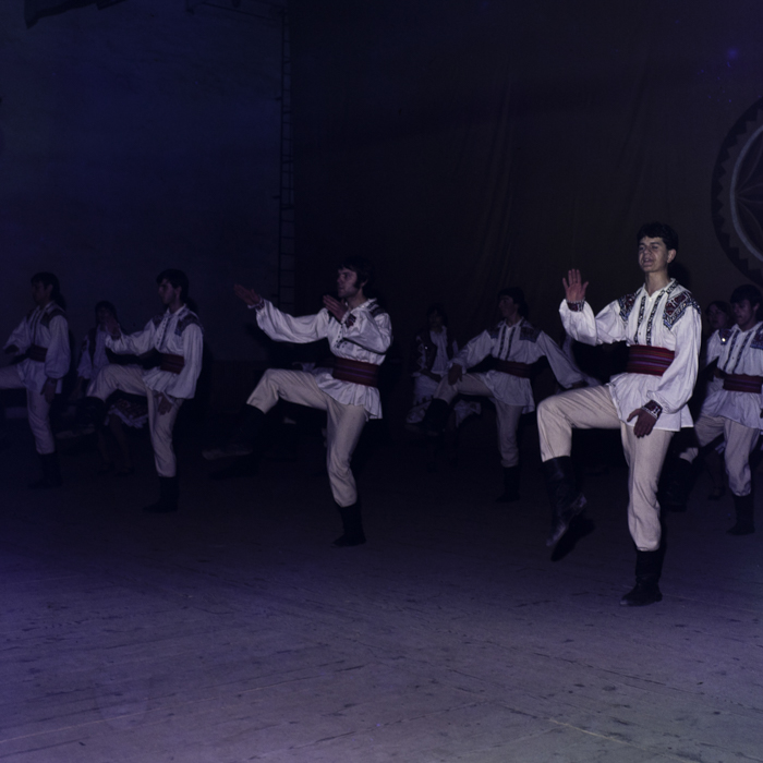 minerva_dn_1983_2693_casa_sindicatelor_arad_001