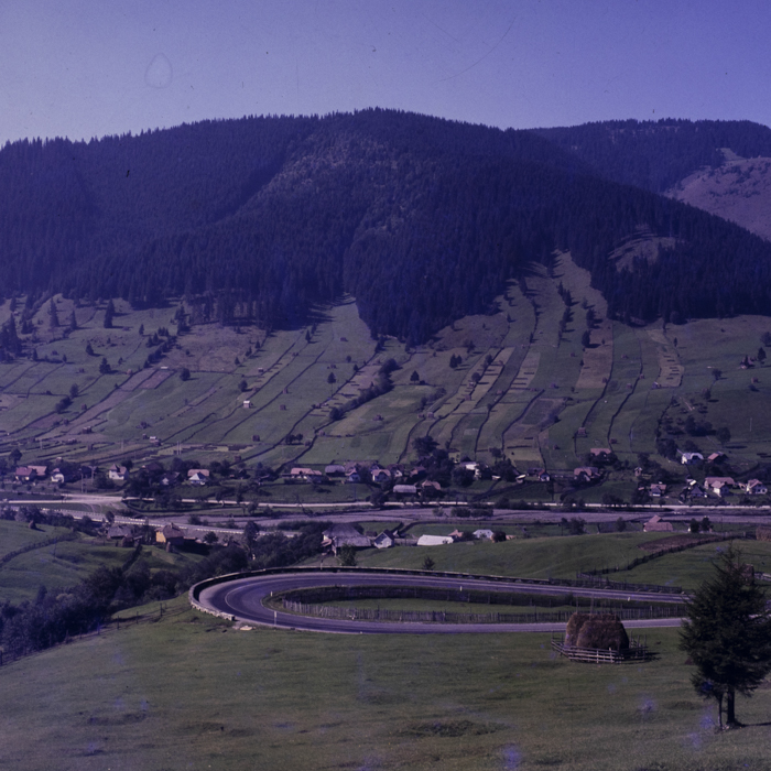 minerva_dn_1983_2694_banat_001