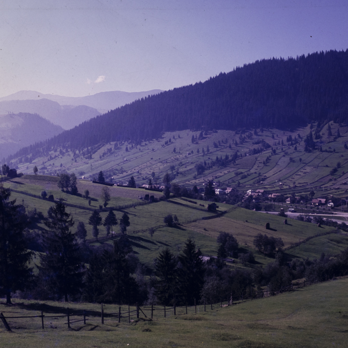 minerva_dn_1983_2694_banat_002