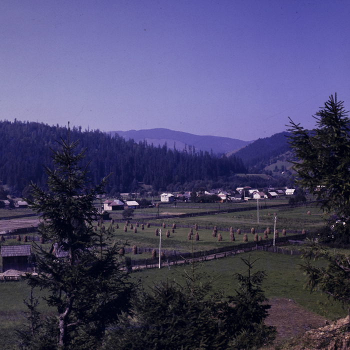 minerva_dn_1983_2694_banat_003