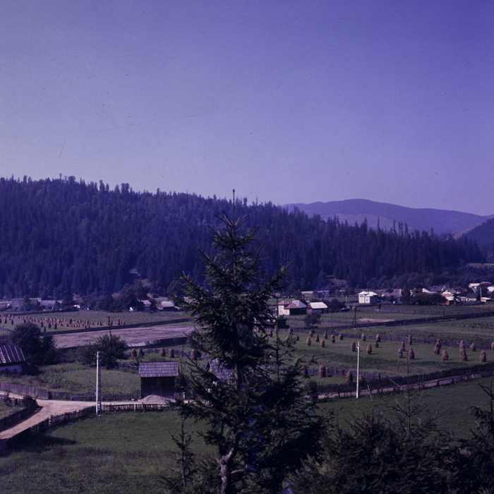 minerva_dn_1983_2694_banat_004