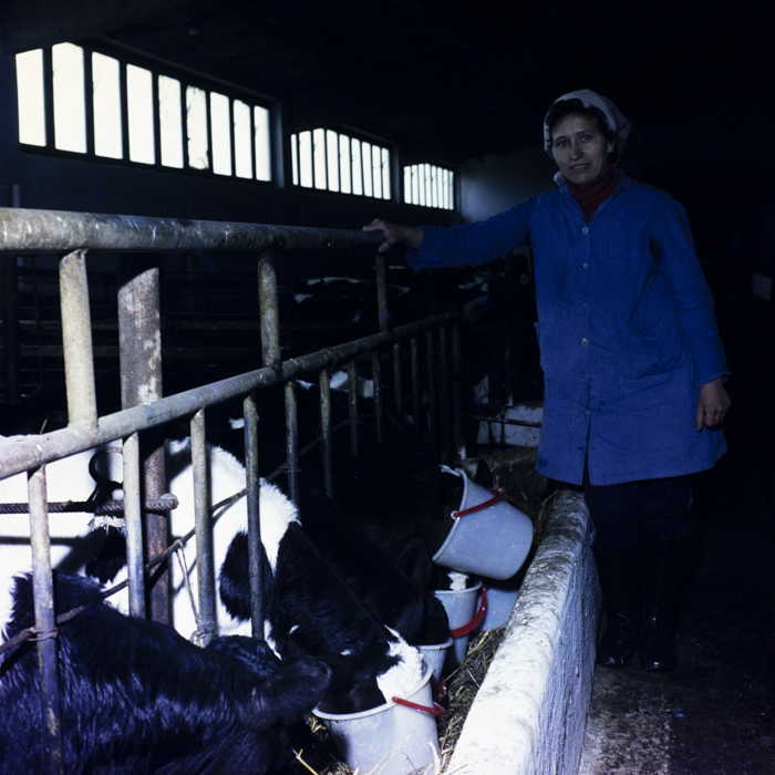 minerva_dn_1984_2671_c.a.p_salonta_004