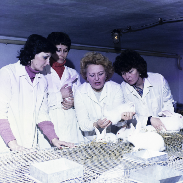 minerva_dn_1984_2675_institutul_agronomic_001