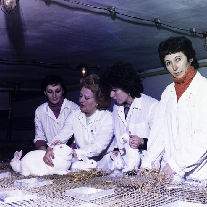 minerva_dn_1984_2675_institutul_agronomic_002