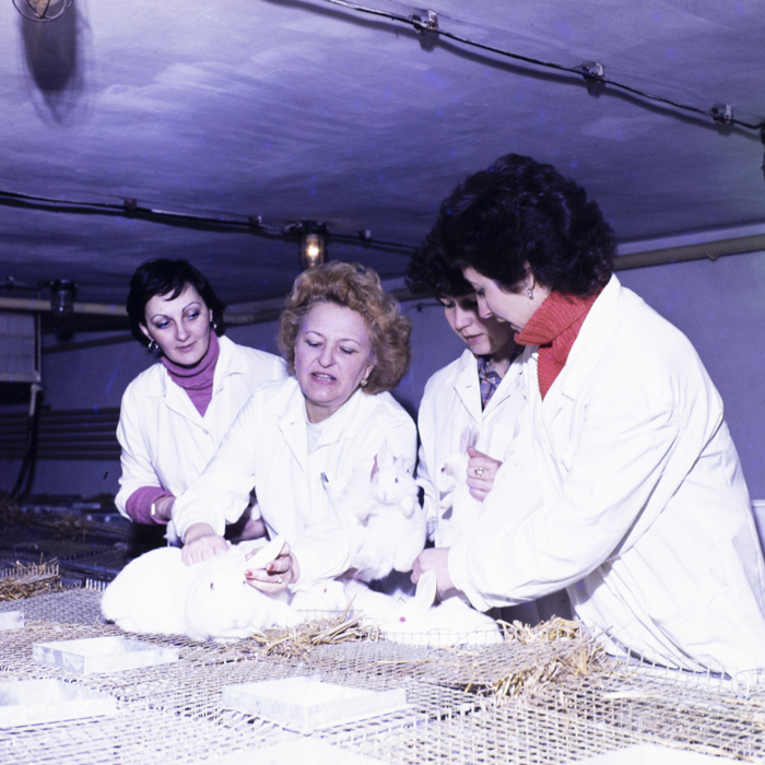 minerva_dn_1984_2675_institutul_agronomic_003