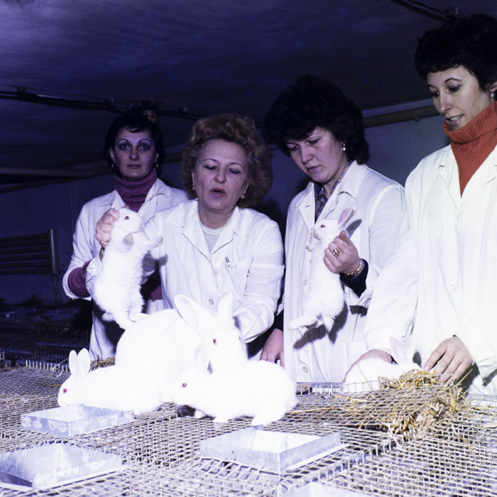 minerva_dn_1984_2675_institutul_agronomic_004
