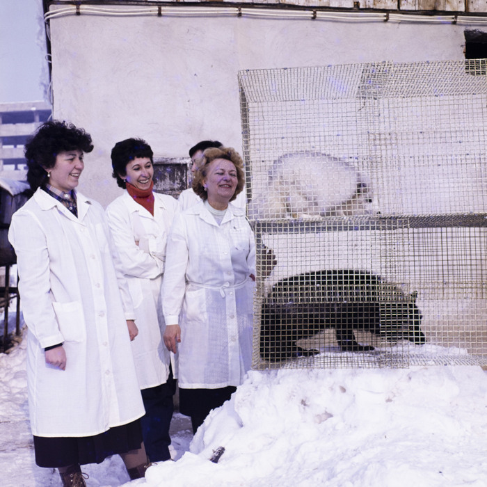 minerva_dn_1984_2675_institutul_agronomic_007