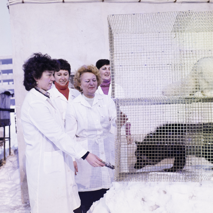 minerva_dn_1984_2675_institutul_agronomic_008