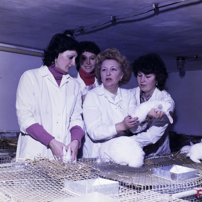 minerva_dn_1984_2675_institutul_agronomic_009