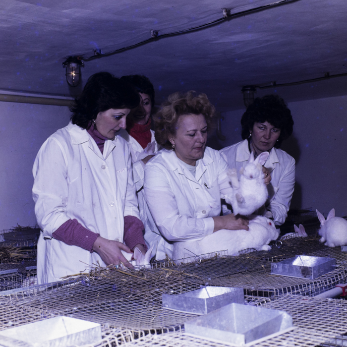 minerva_dn_1984_2675_institutul_agronomic_010