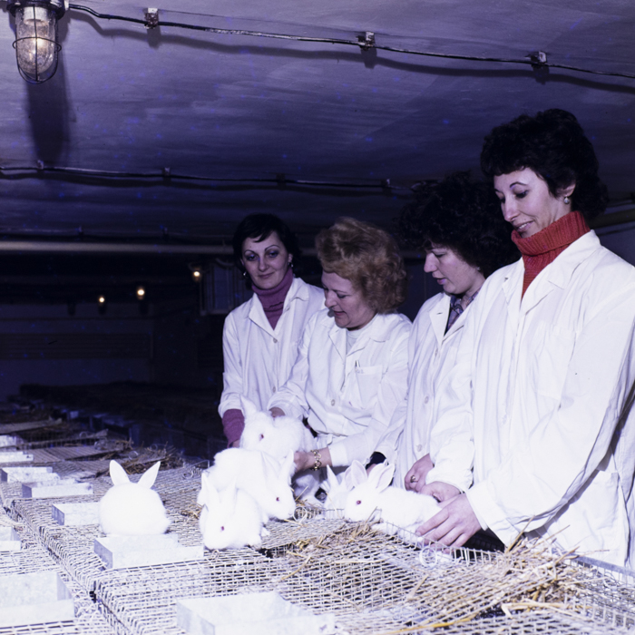 minerva_dn_1984_2675_institutul_agronomic_011