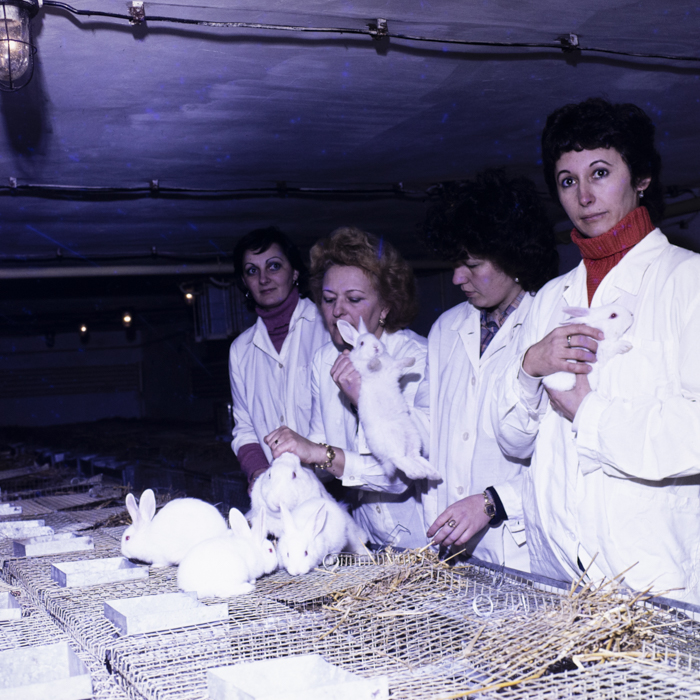 minerva_dn_1984_2675_institutul_agronomic_012