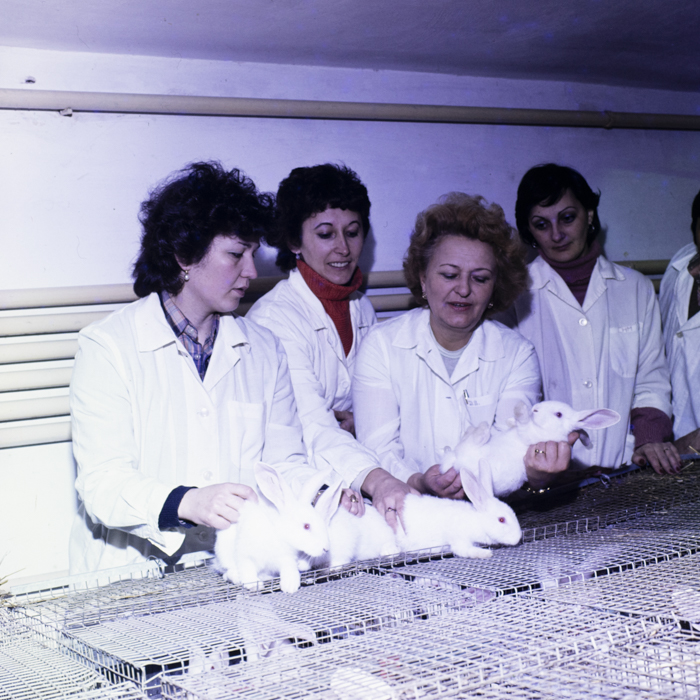 minerva_dn_1984_2675_institutul_agronomic_013