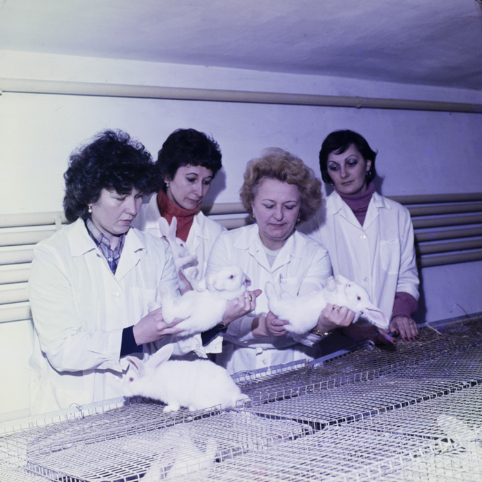 minerva_dn_1984_2675_institutul_agronomic_014