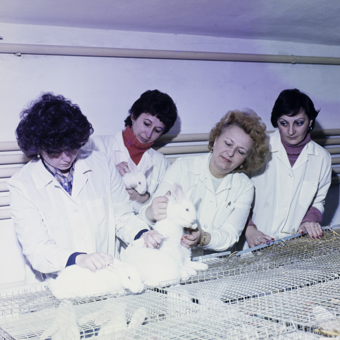 minerva_dn_1984_2675_institutul_agronomic_015