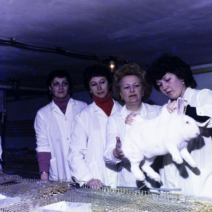 minerva_dn_1984_2675_institutul_agronomic_016