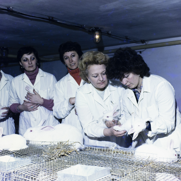 minerva_dn_1984_2675_institutul_agronomic_017