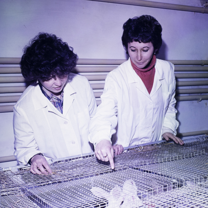 minerva_dn_1984_2675_institutul_agronomic_018