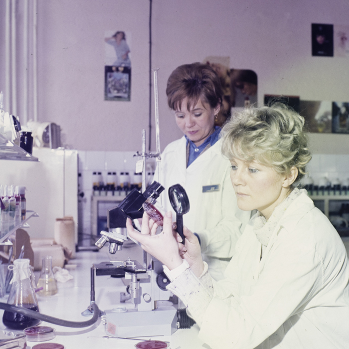 minerva_dn_1984_2680_nivea_brasov_001