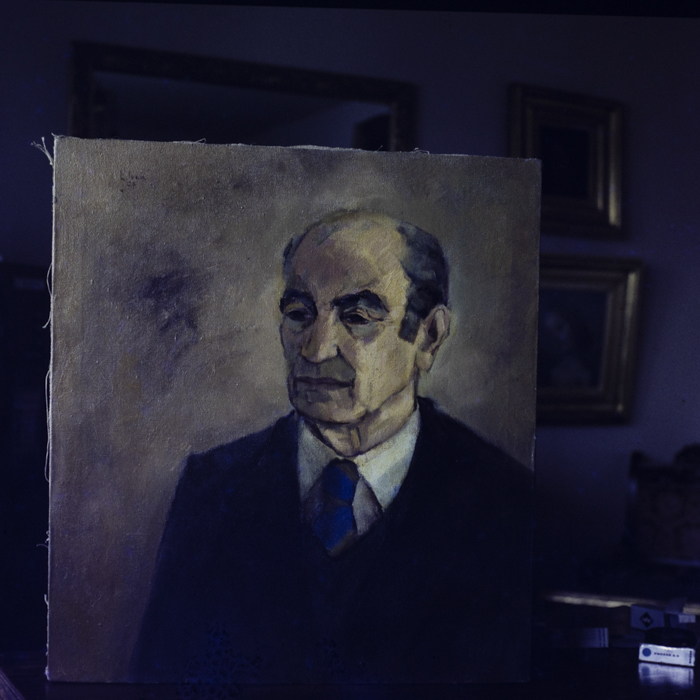 minerva_dn_1984_2720_reproduceri002