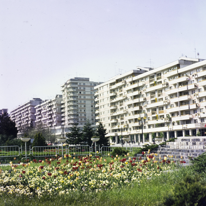 minerva_dn_1984_2724_pitesti_001