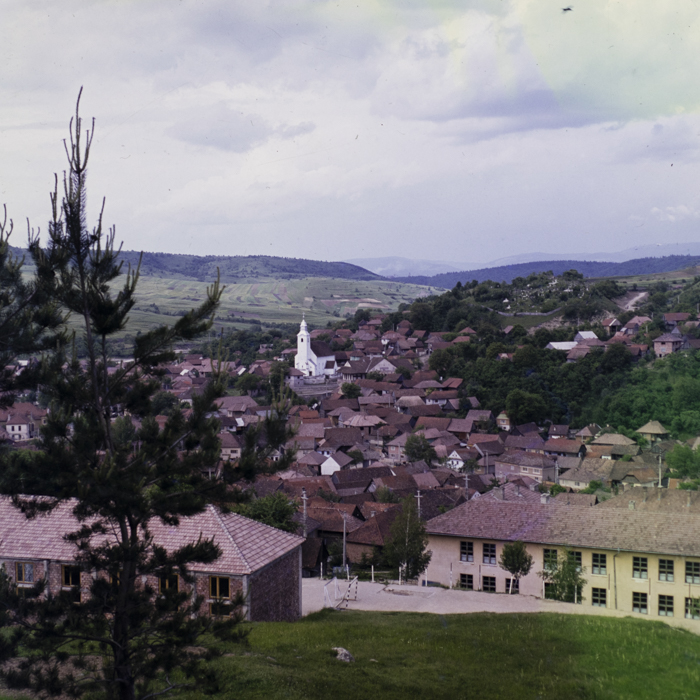 minerva_dn_1984_2731_lueta_001