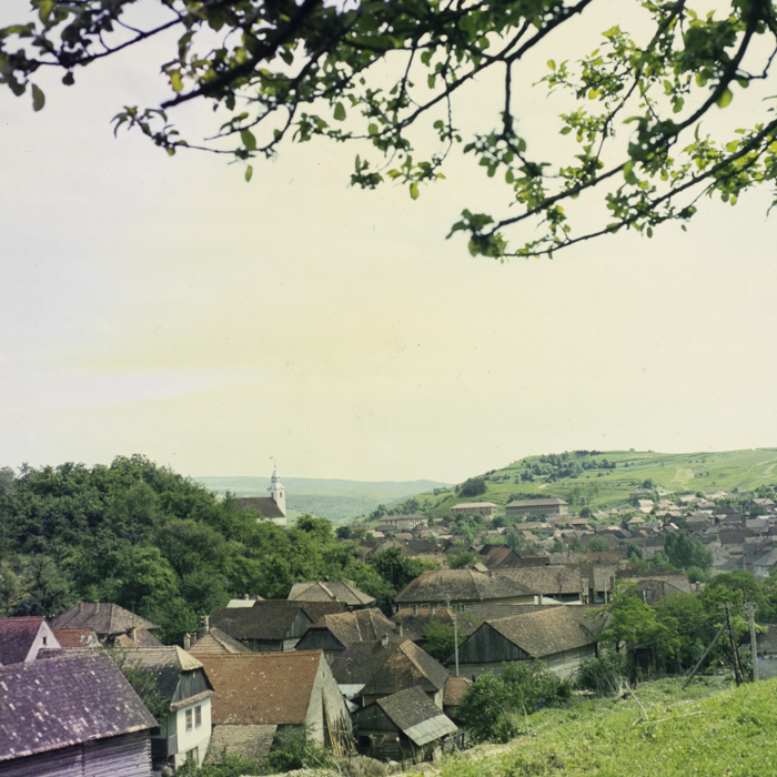 minerva_dn_1984_2731_lueta_002