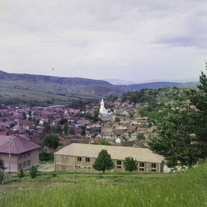 minerva_dn_1984_2731_lueta_003