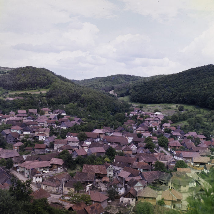 minerva_dn_1984_2731_lueta_005