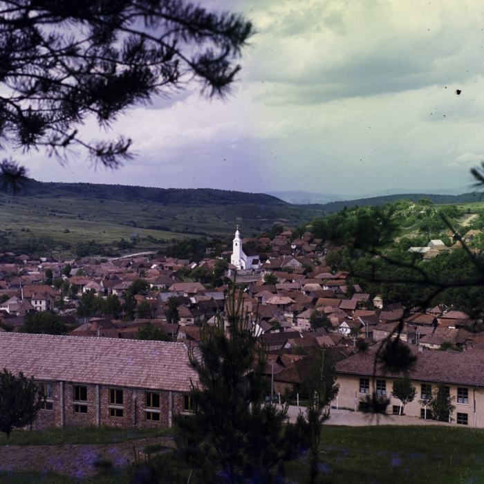 minerva_dn_1984_2731_lueta_007