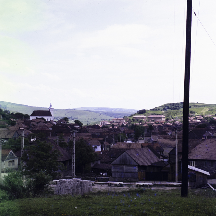 minerva_dn_1984_2731_lueta_008