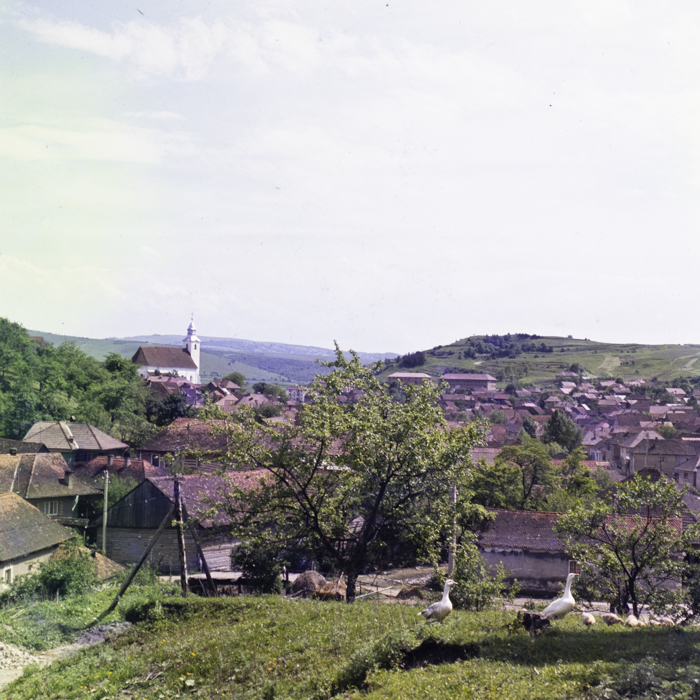 minerva_dn_1984_2731_lueta_009