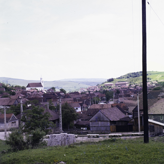 minerva_dn_1984_2731_lueta_010