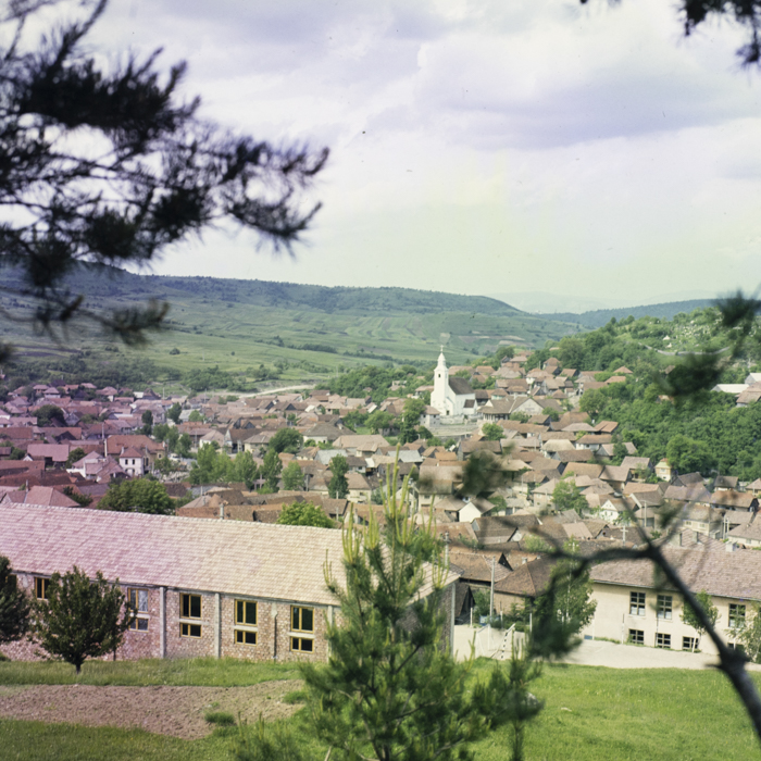 minerva_dn_1984_2731_lueta_011