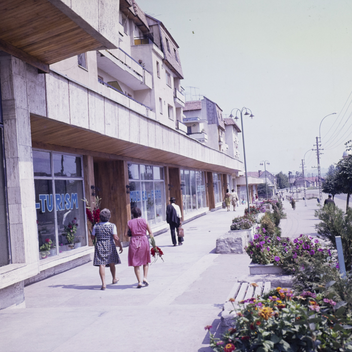 minerva_dn_1984_2735_huedin_002