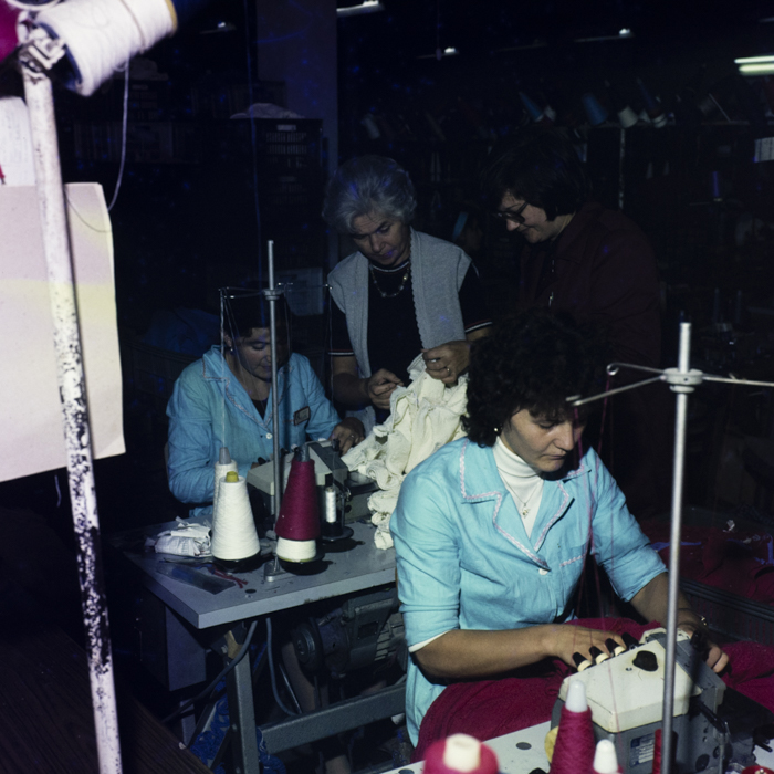 minerva_dn_1984_2737_toplita_001