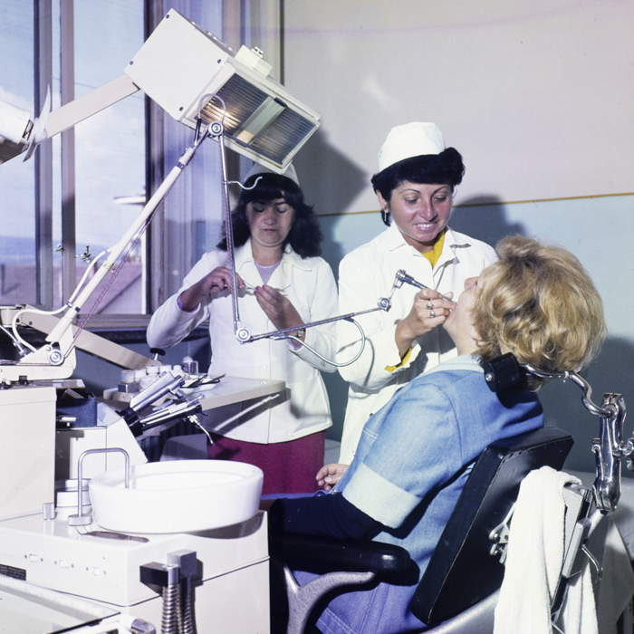 minerva_dn_1984_2737_toplita_002