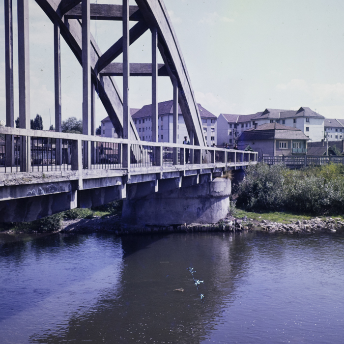 minerva_dn_1984_2737_toplita_003