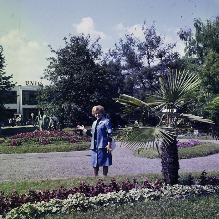 minerva_dn_1984_2737_toplita_004