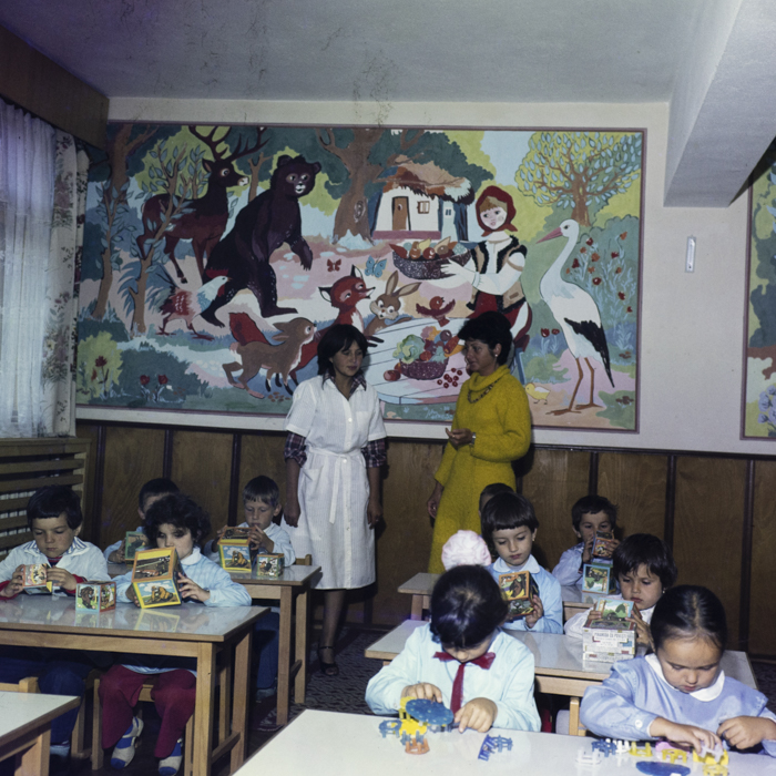 minerva_dn_1984_2737_toplita_005