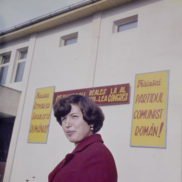 minerva_dn_1984_2741_com_lazuri_satu_mare_003